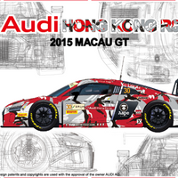 NUNU 1/24 Audi R8 Lms Gt3 Gp Macau 2015 Fia-Gt NU24028